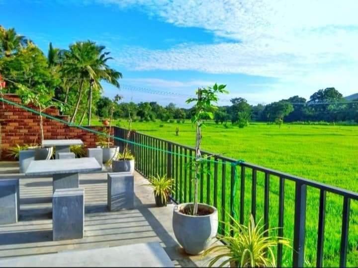 Kashyapa Kingdom View Homestay