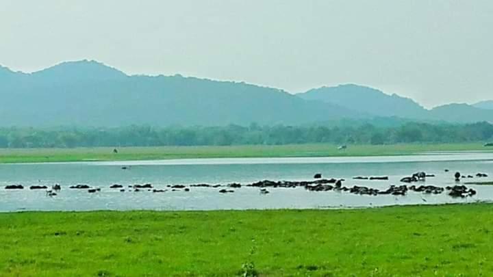 Kashyapa Kingdom View *